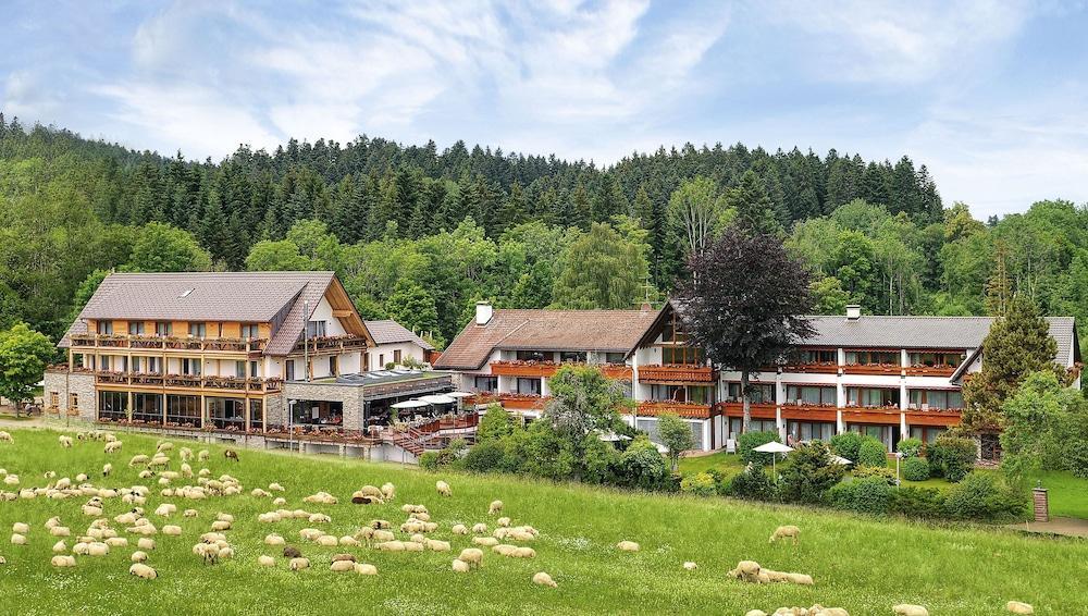 Hotel Gruener Wald Freudenstadt Kültér fotó