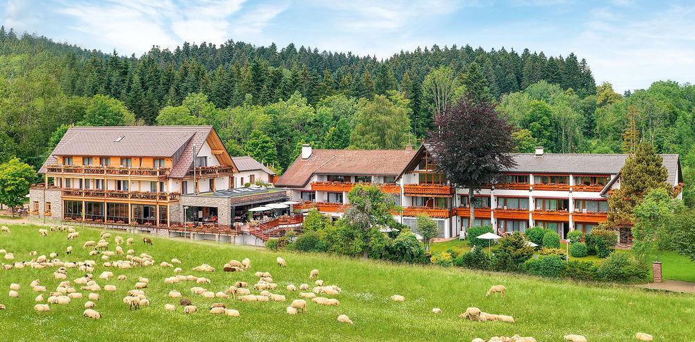 Hotel Gruener Wald Freudenstadt Kültér fotó