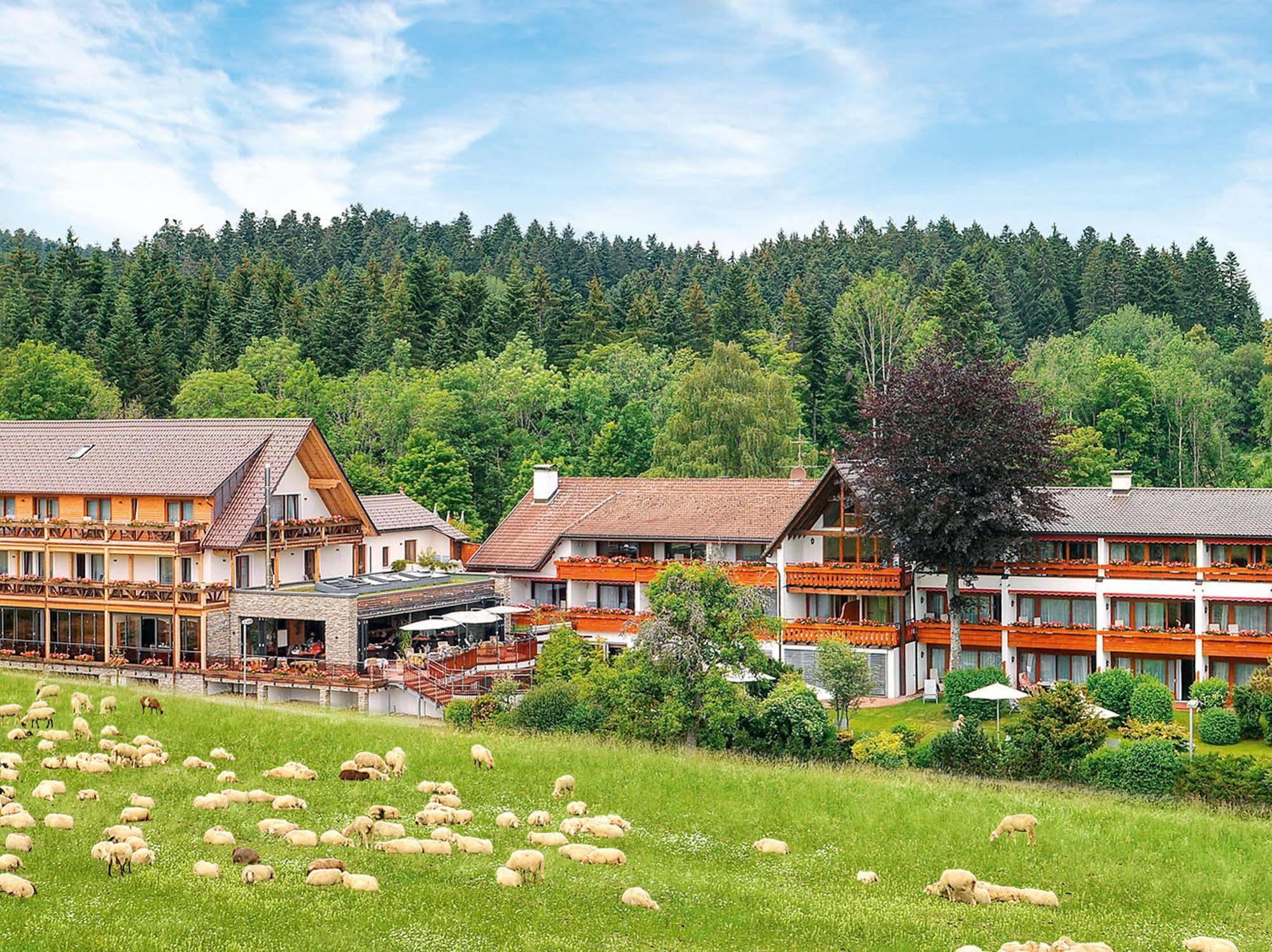 Hotel Gruener Wald Freudenstadt Kültér fotó
